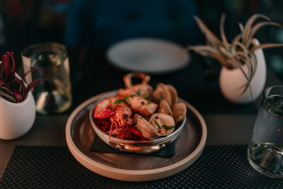 Whino Arlington Photos 2